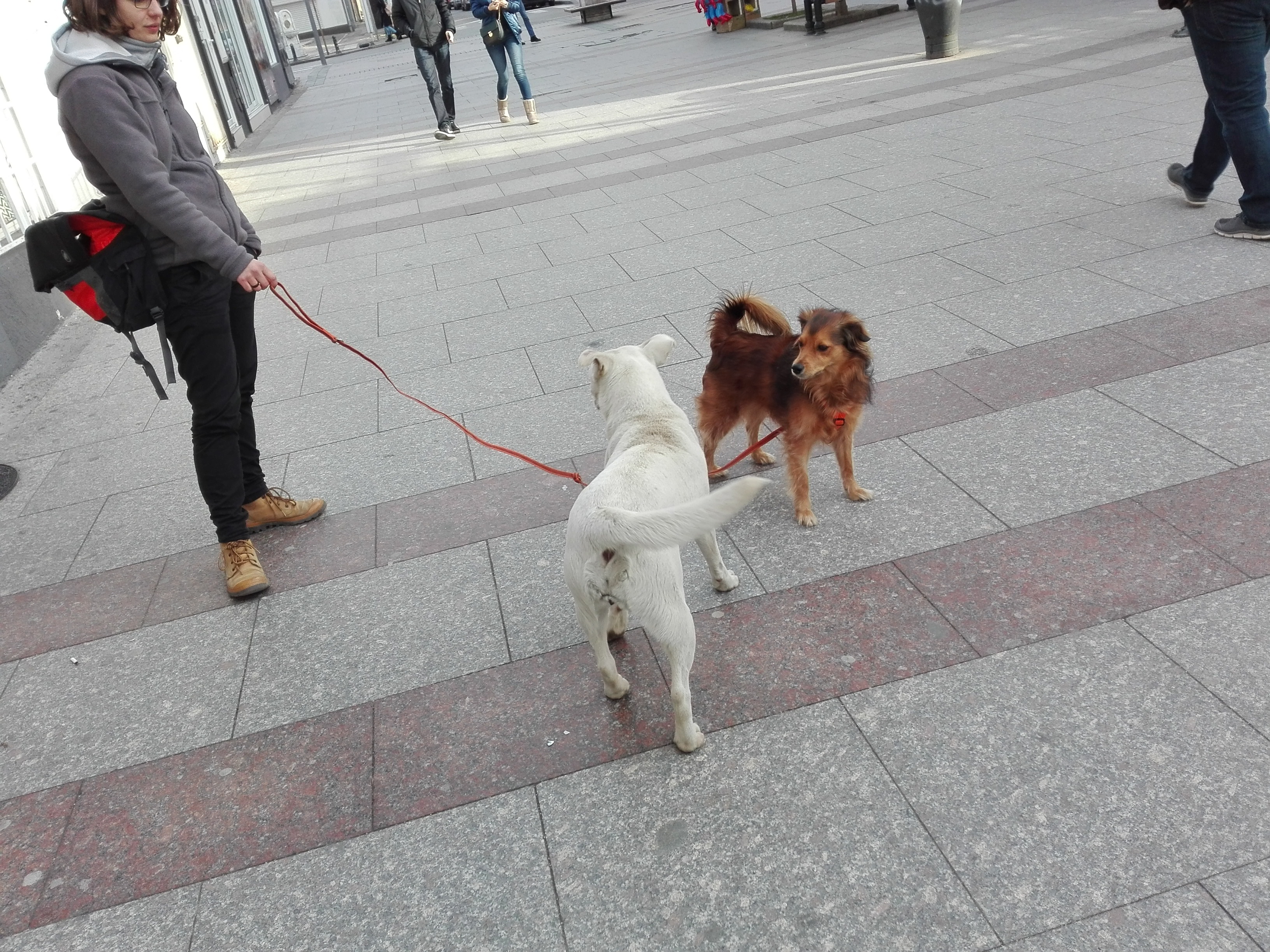 Elisabeth and Ferdinand encountering their future research partner Angela in the streets of Podgorica.