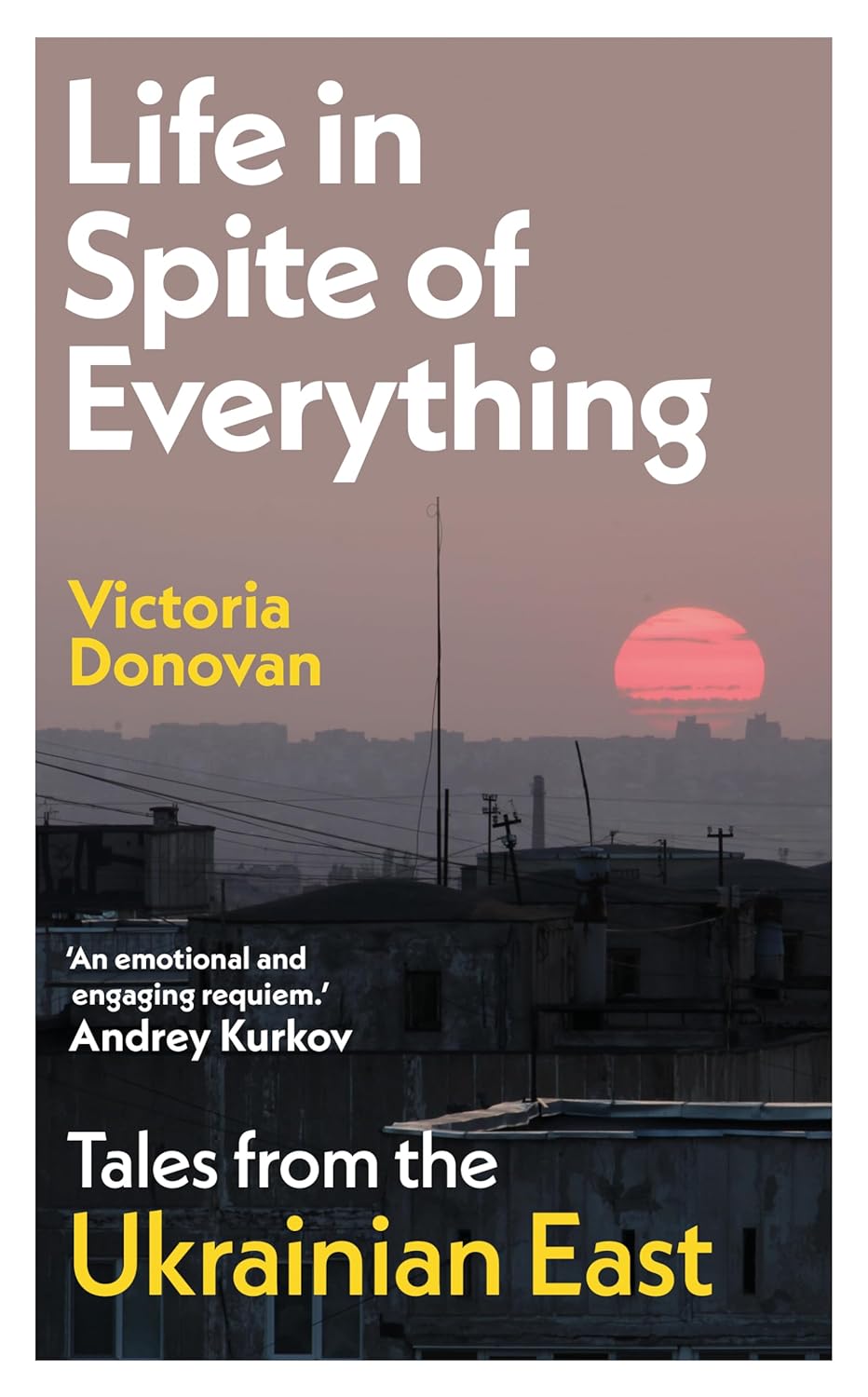 The cover of the book ‘Life in Spite of Everything: Tales from the Ukrainian East’ features an industrial landscape at dusk.